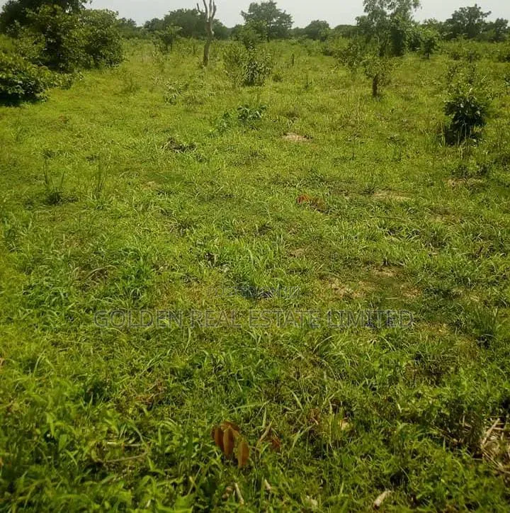 600 Plots of Farm Land for Sale at Odoro , Iyin EKiti in Irepodun/Ifelodun