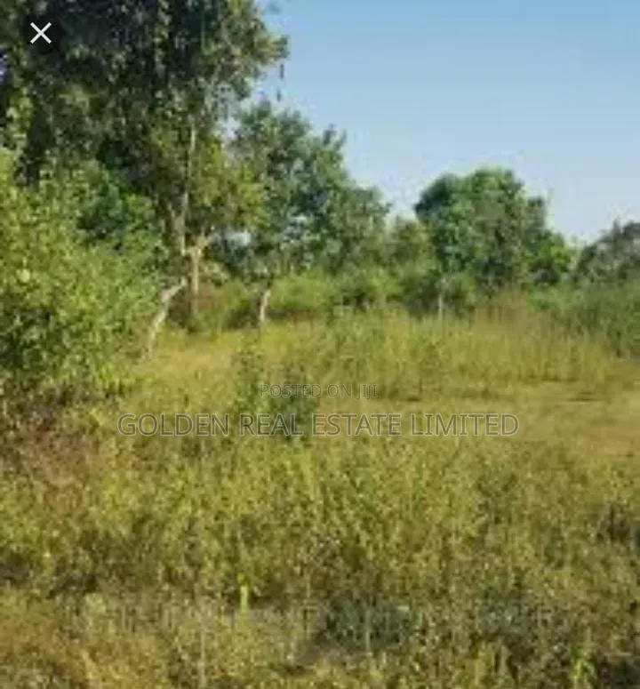 600 Plots of Farm Land for Sale at Odoro , Iyin EKiti in Irepodun/Ifelodun