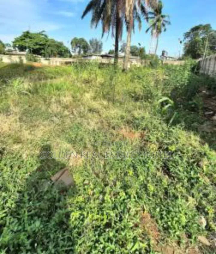 600 Plots of Farm Land for Sale at Odoro , Iyin EKiti in Irepodun/Ifelodun