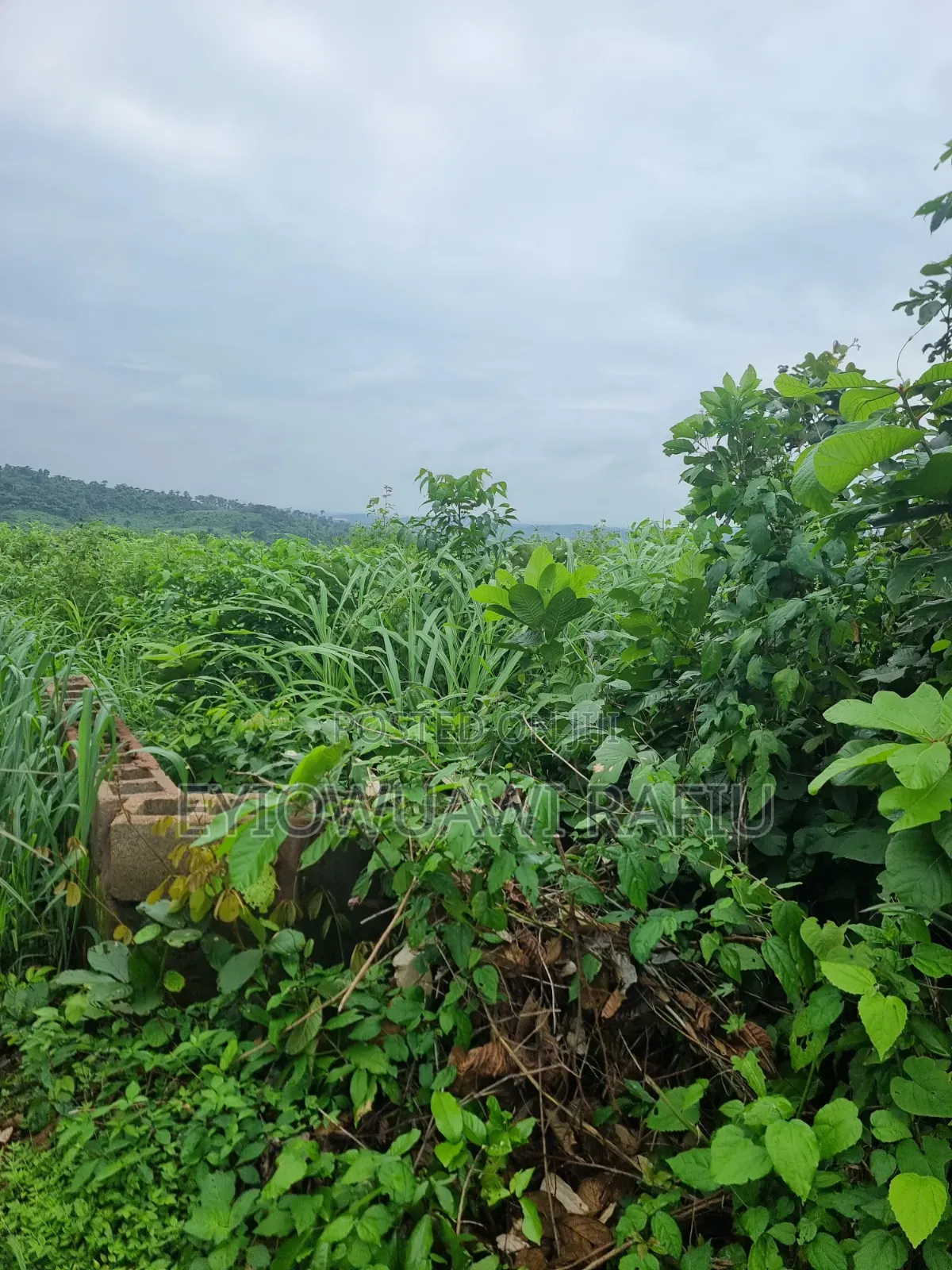 Complete (5) Five Hectares of Land for Sale in Ogun State in Obafemi-Owode