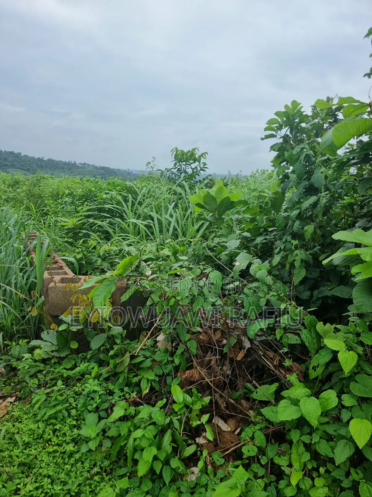 Complete (5) Five Hectares of Land for Sale in Ogun State in Obafemi-Owode