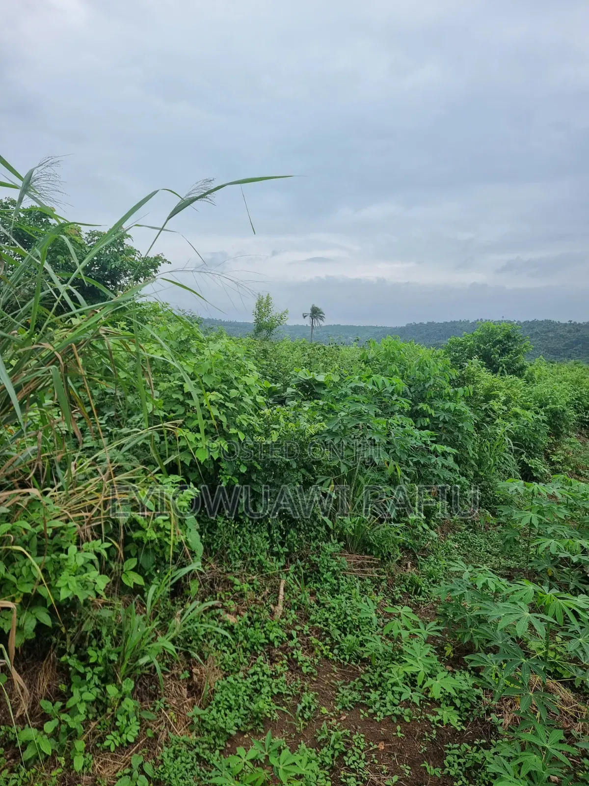 Complete (5) Five Hectares of Land for Sale in Ogun State in Obafemi-Owode