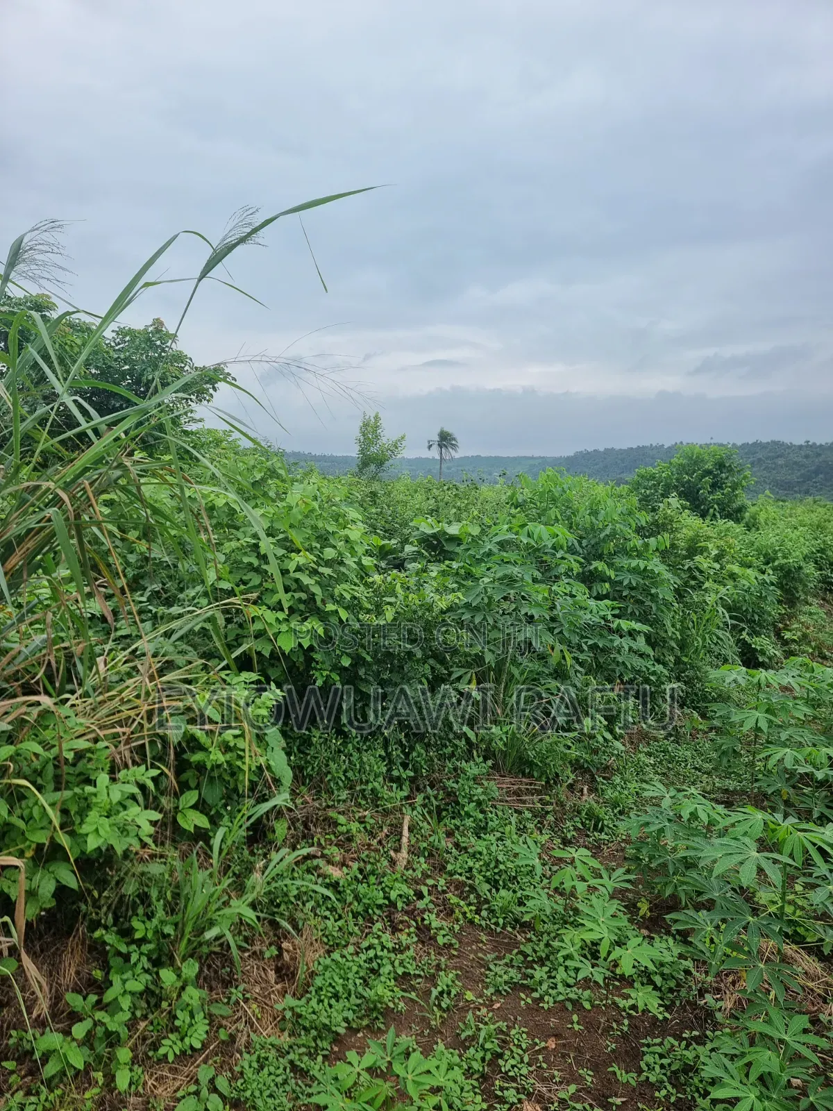 Complete (5) Five Hectares of Land for Sale in Ogun State in Obafemi-Owode