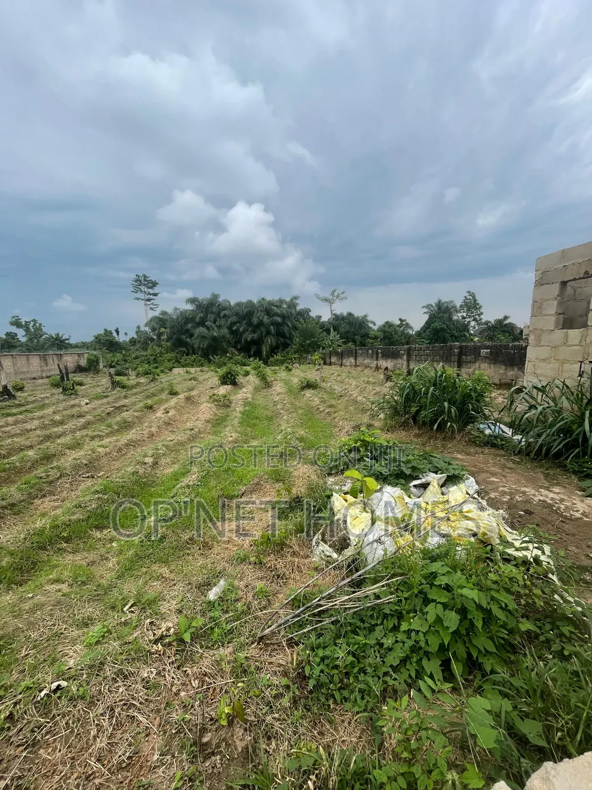 Fenced 2 Plots of Land Is Available in Akure