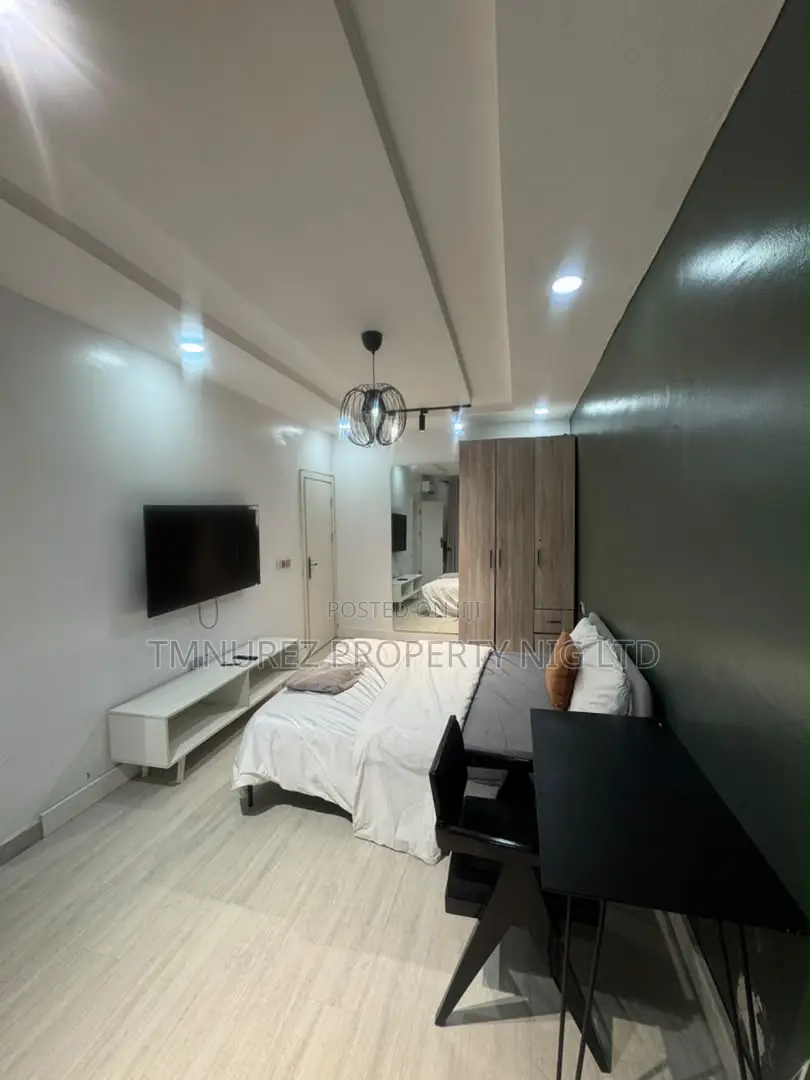 Furnished 1bdrm Apartment in Lekki Phase 1 for rent in Lekki Phase 1