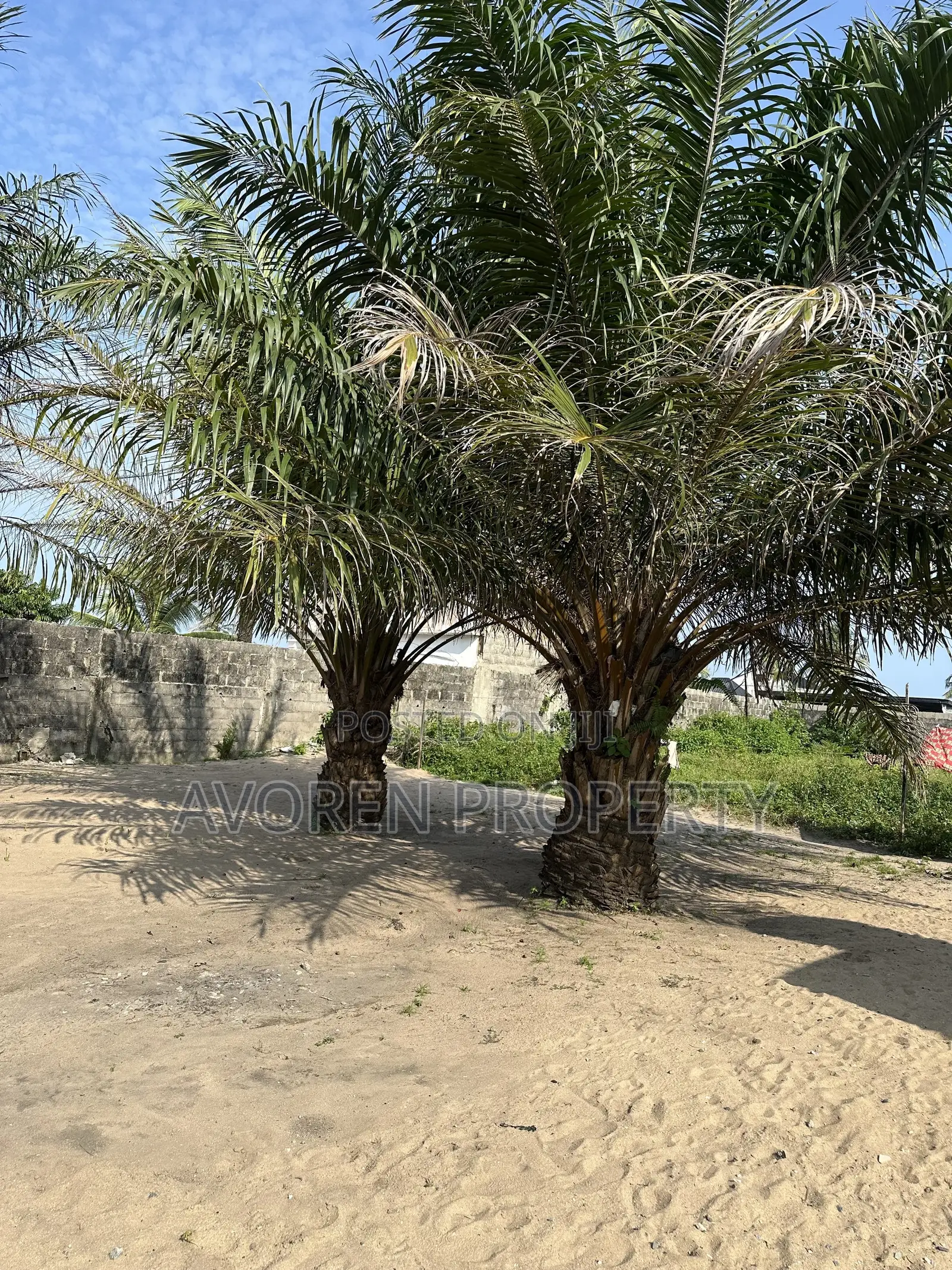 One Plot of Land at Eleko Beach Side Idado Town in Ibeju