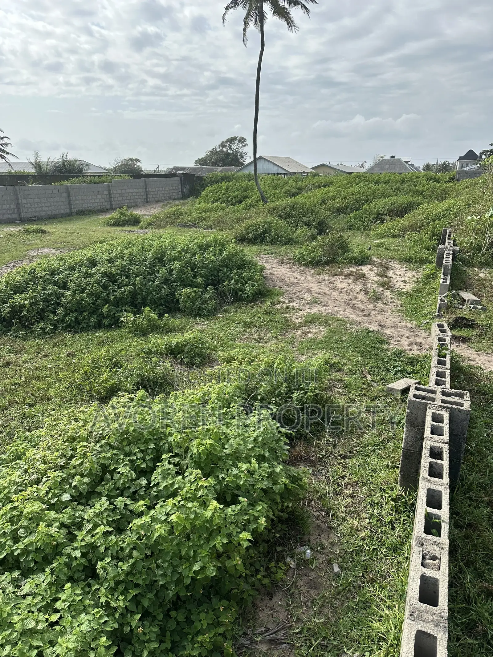 3 Plot of Land at Eleko Beach Side Debojo Town in Ibeju