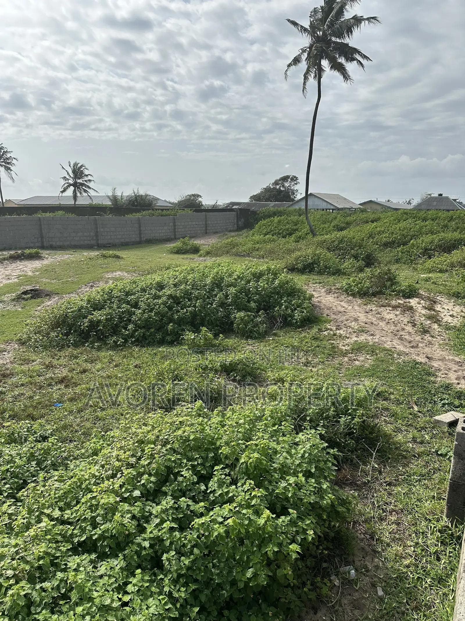 3 Plot of Land at Eleko Beach Side Debojo Town in Ibeju