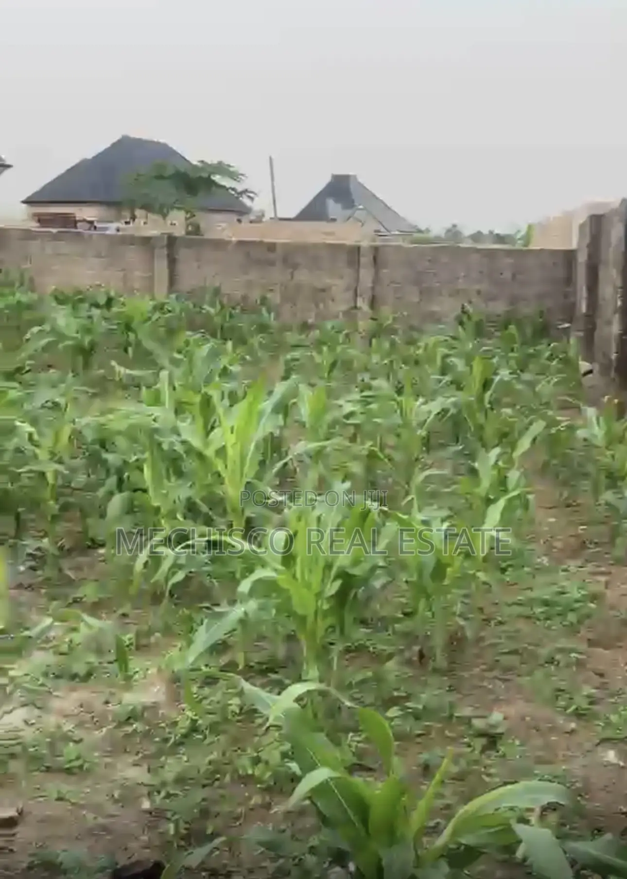 1 Plot of Fully Fenced and Gated Land for Sale in Atali Eneka in Eneka