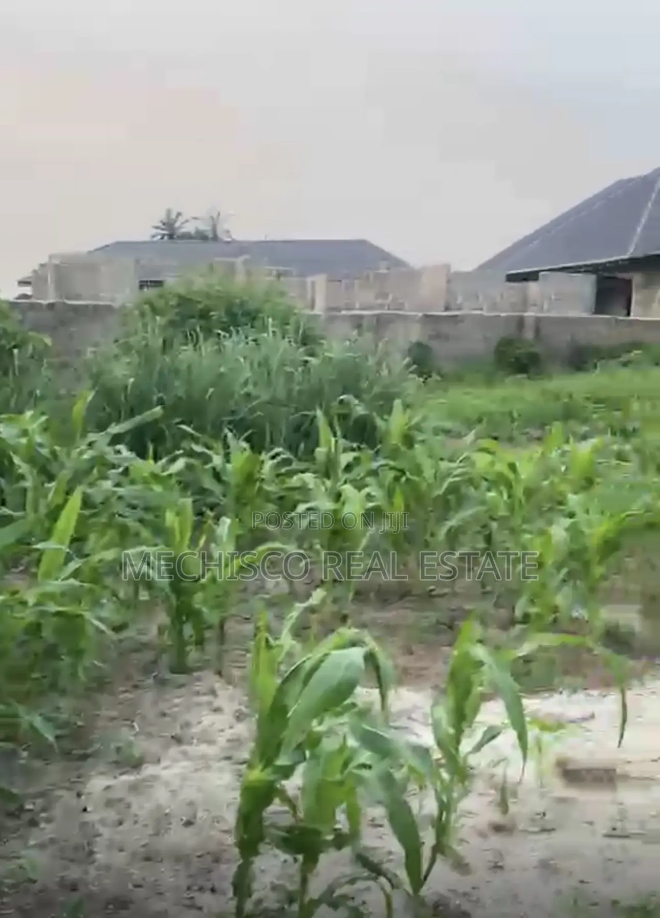 1 Plot of Fully Fenced and Gated Land for Sale in Atali Eneka in Eneka