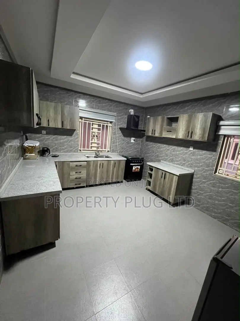Furnished 4bdrm Duplex in Asokoro for rent in Asokoro