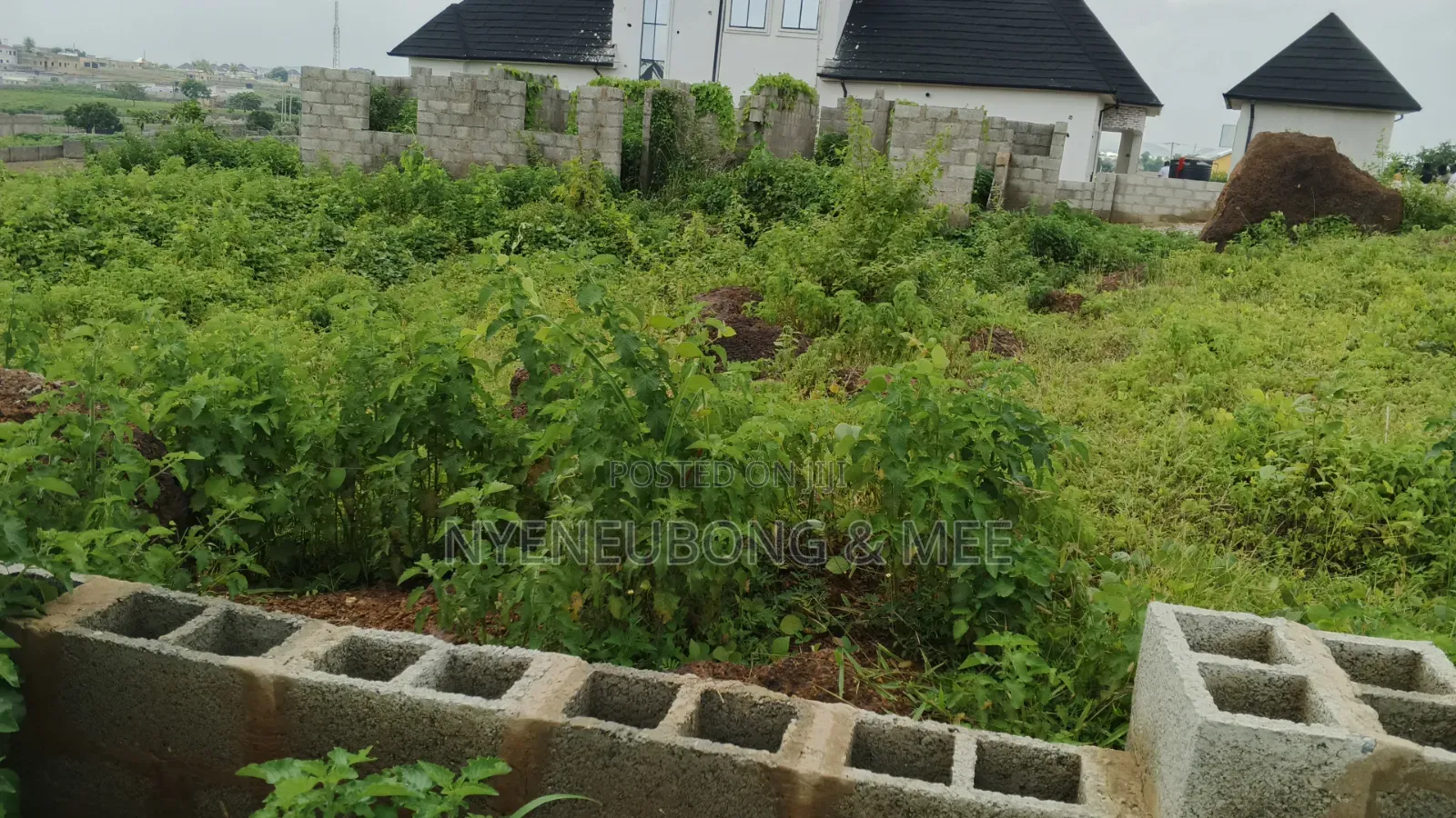 Great Land for Sale 1000sqm. in Karu
