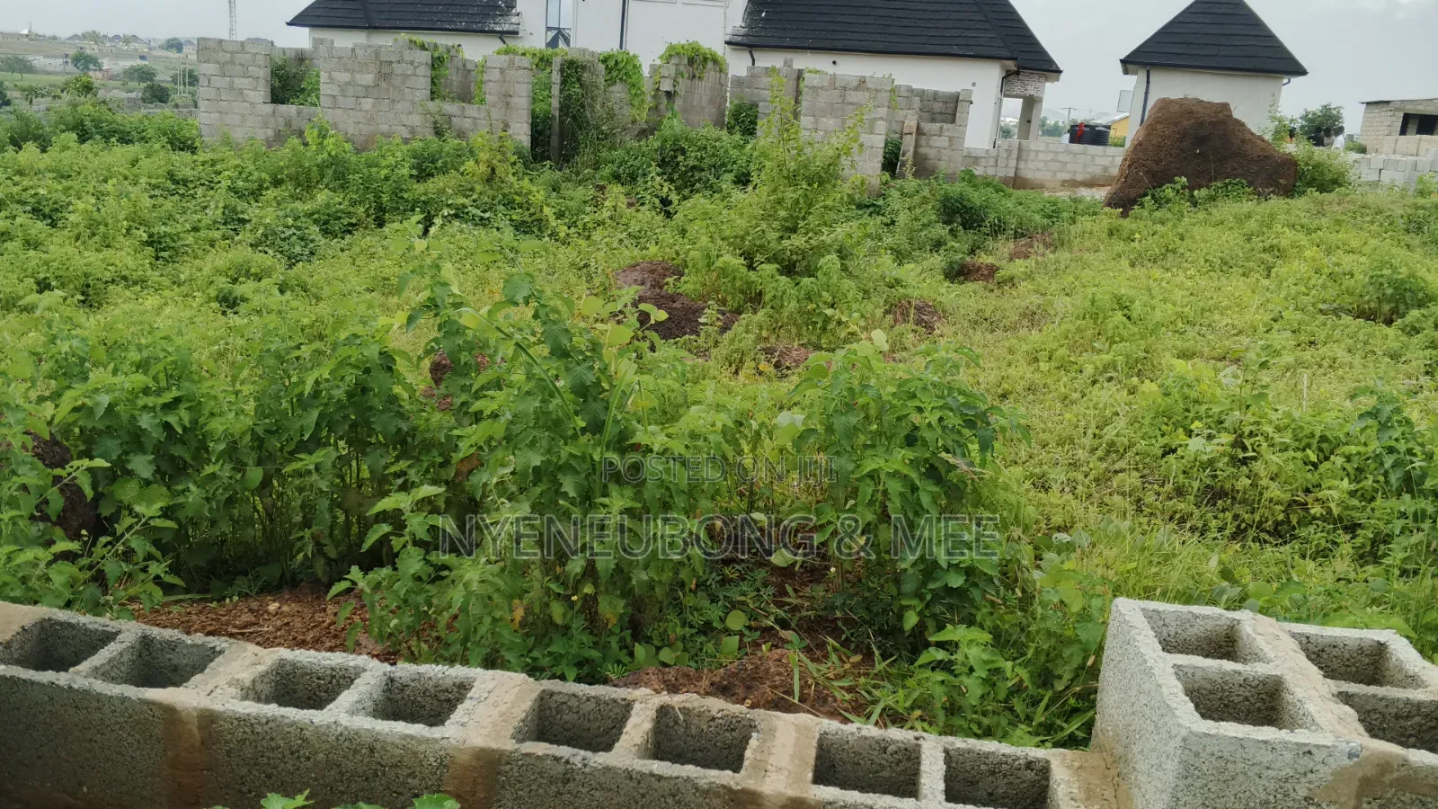 Great Land for Sale 1000sqm. in Karu