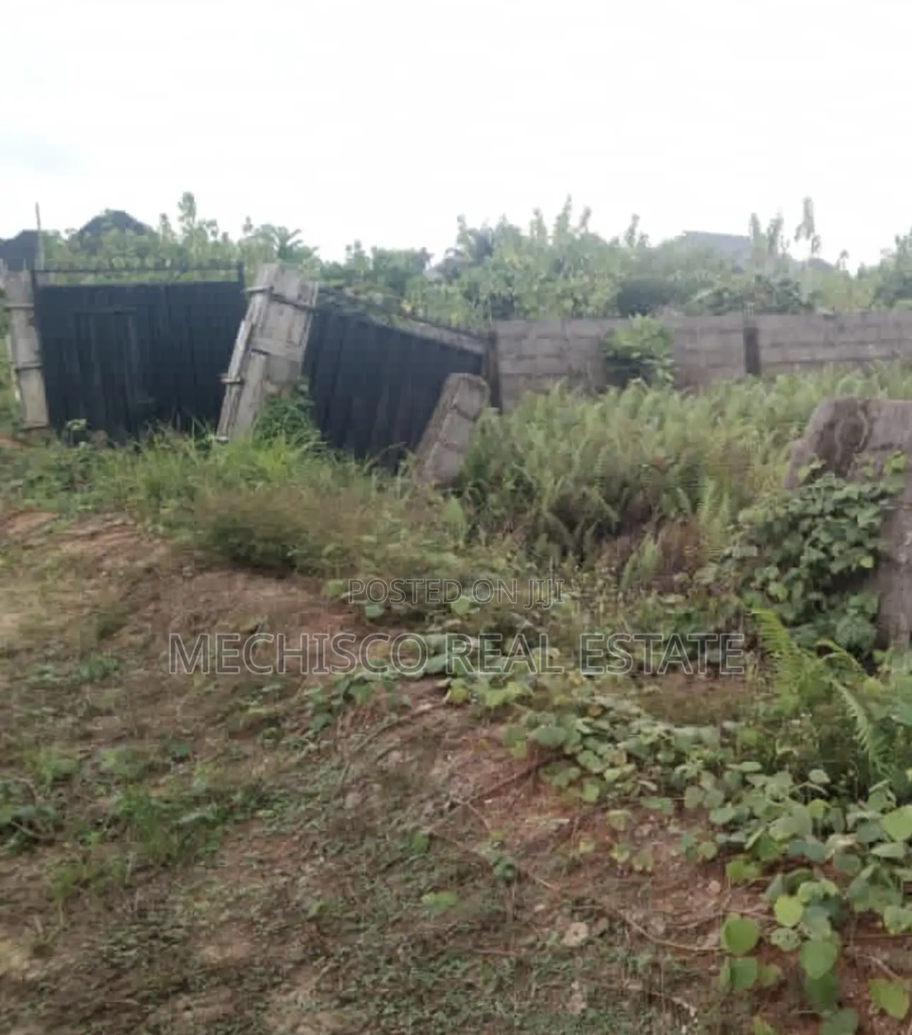 2 Half Plots of Fenced Land for Sale at Eliozu Shell Cooperative in Eliozu