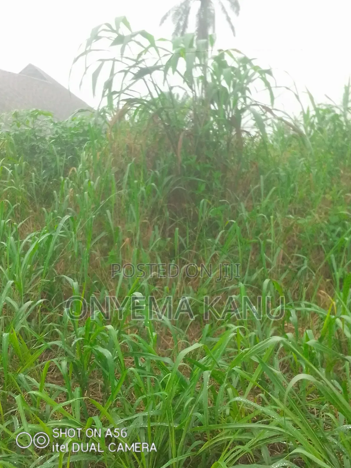 1 Plot Buy and Build Near Inner Galaxy. in Ukwa