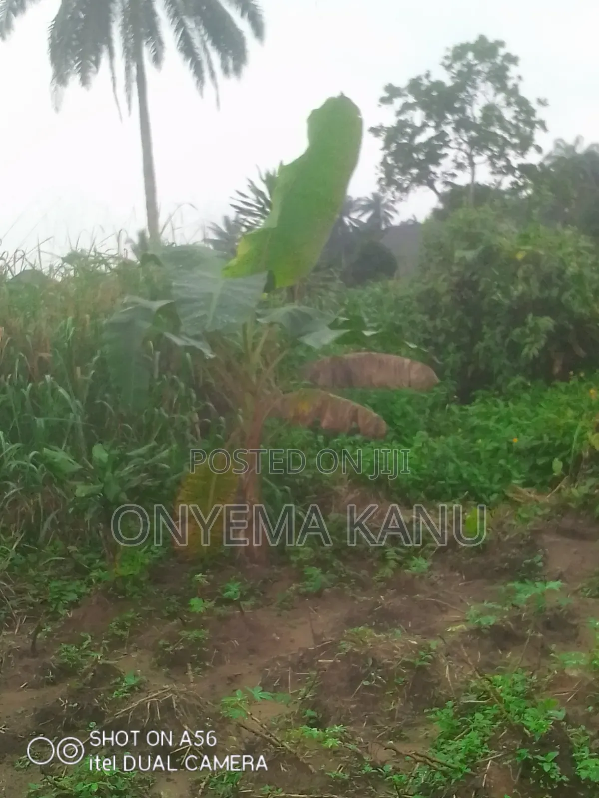 1 Plot Buy and Build Near Inner Galaxy. in Ukwa