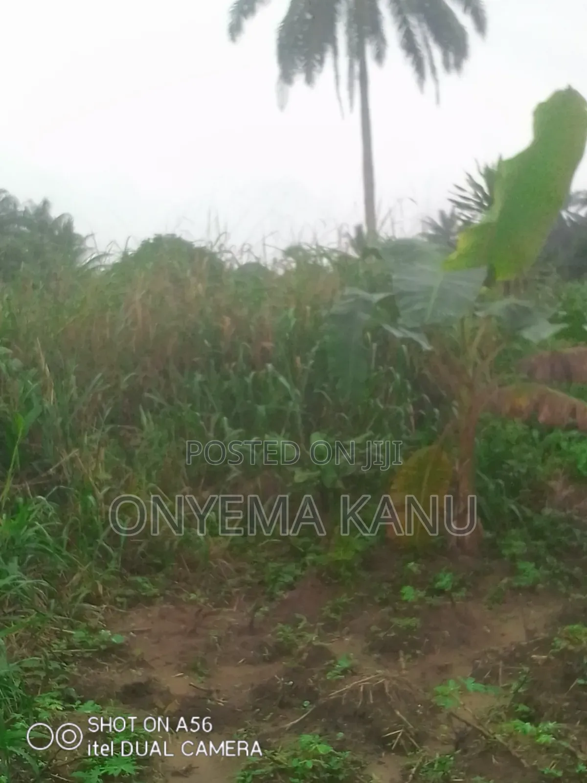1 Plot Buy and Build Near Inner Galaxy. in Ukwa