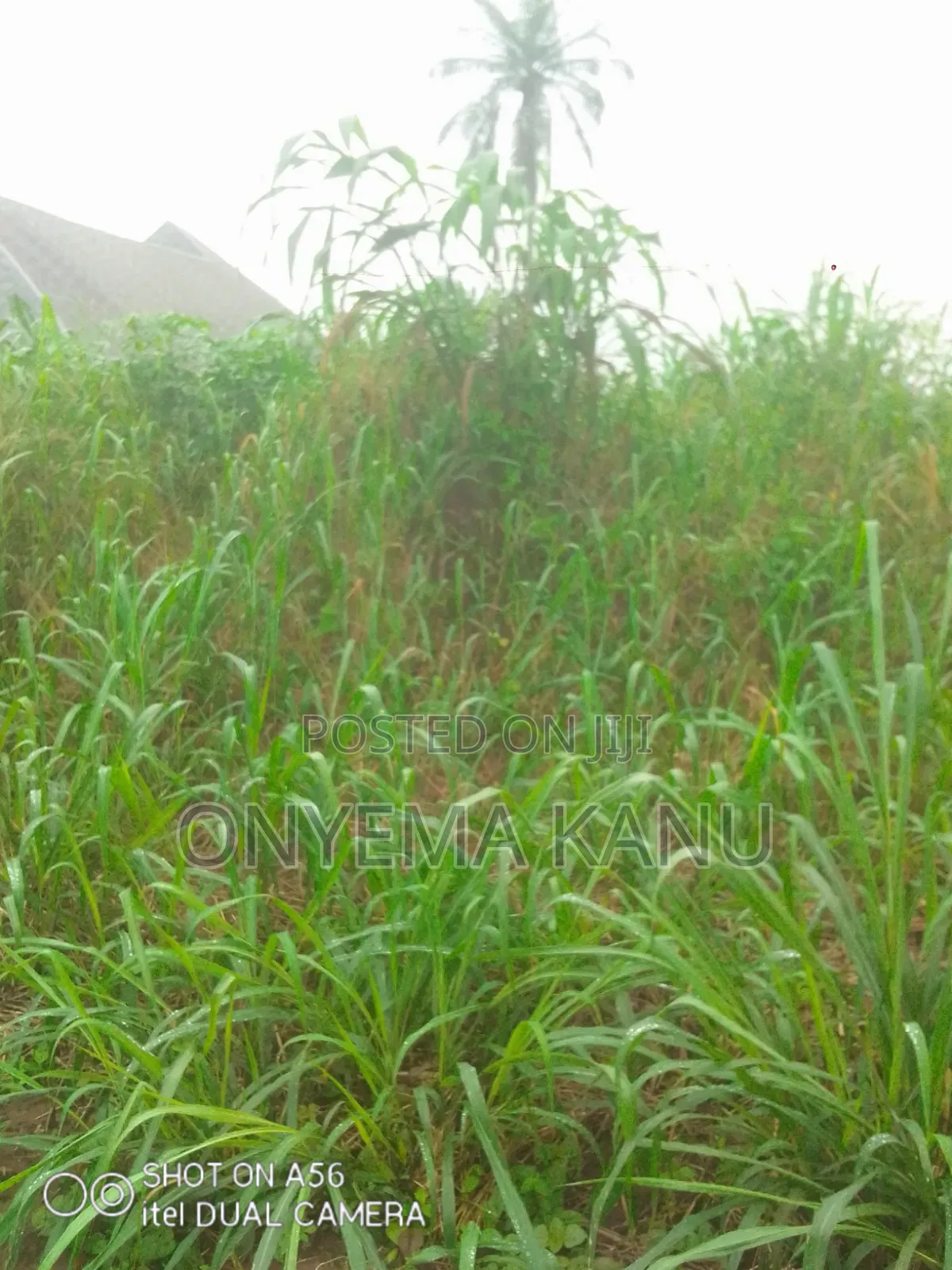 1 Plot Buy and Build Near Inner Galaxy. in Ukwa