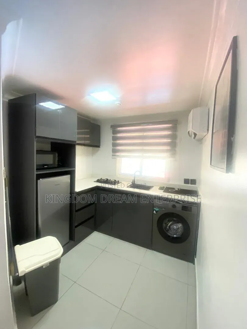 Furnished Mini Flat in Glover Ikoyi Lagos for rent in Old Ikoyi