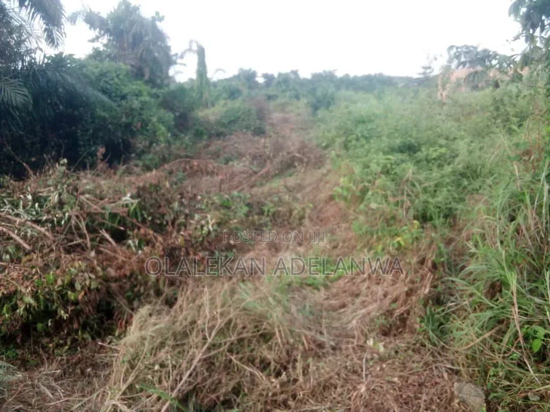 30 Plots of Land for Sale at the Apete Area, Ibadan in Ibadan Polytechnic/University