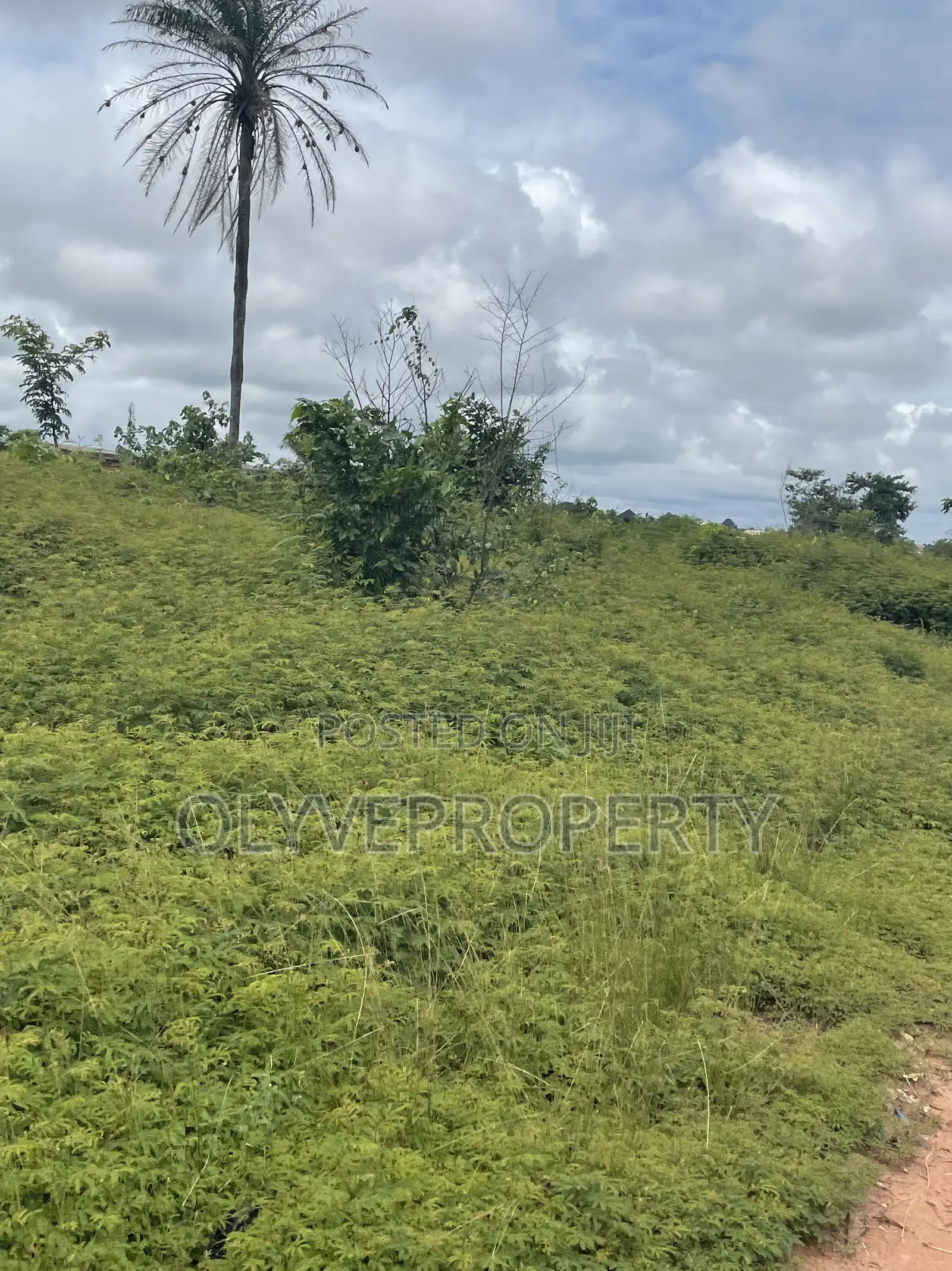 Buy and Build Plots of Land for Sale at IBUZO for Sale in Delta State