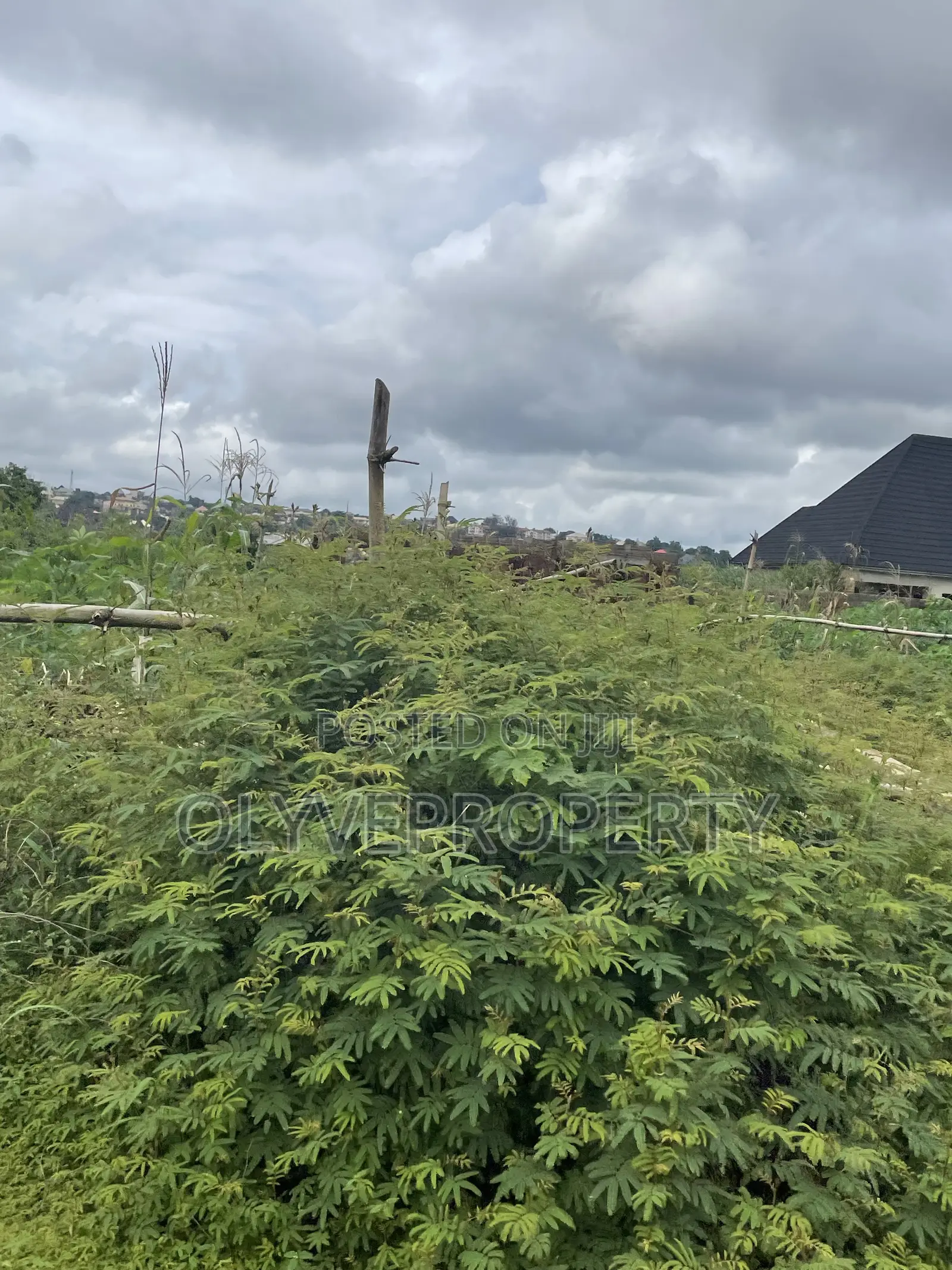 Buy and Build Plots of Land for Sale at IBUZO for Sale in Delta State