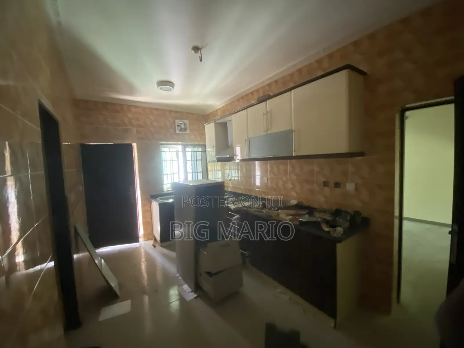 4bdrm Duplex in Asokoro for rent in Asokoro