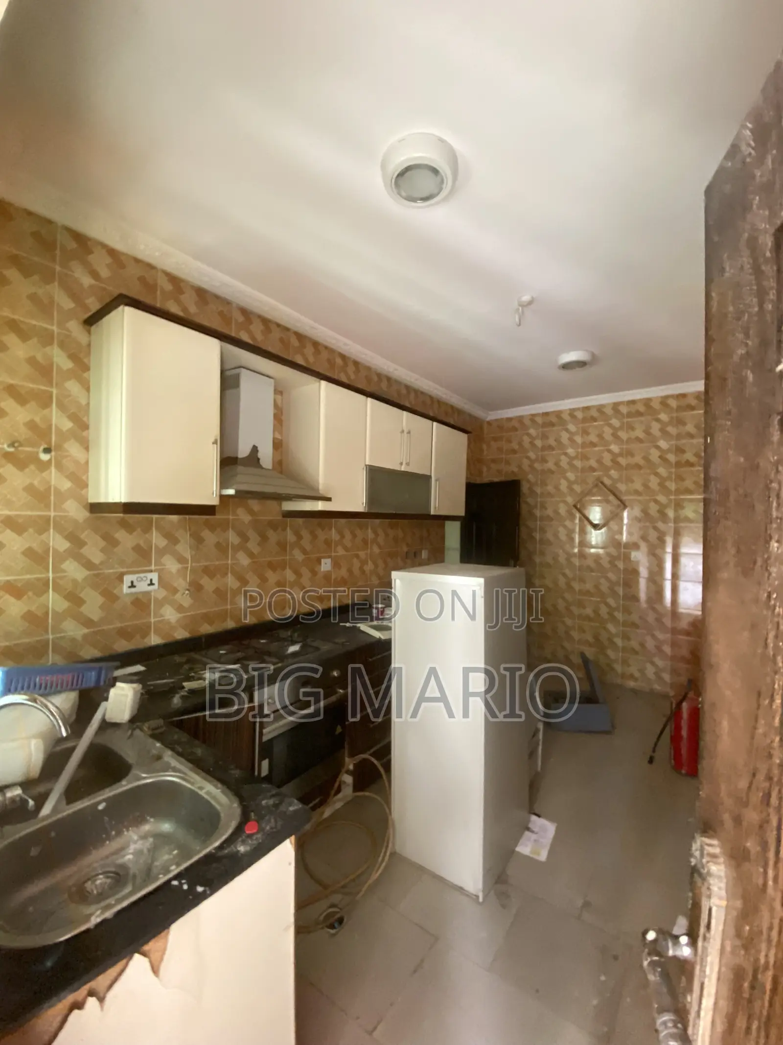 4bdrm Duplex in Asokoro for rent in Asokoro
