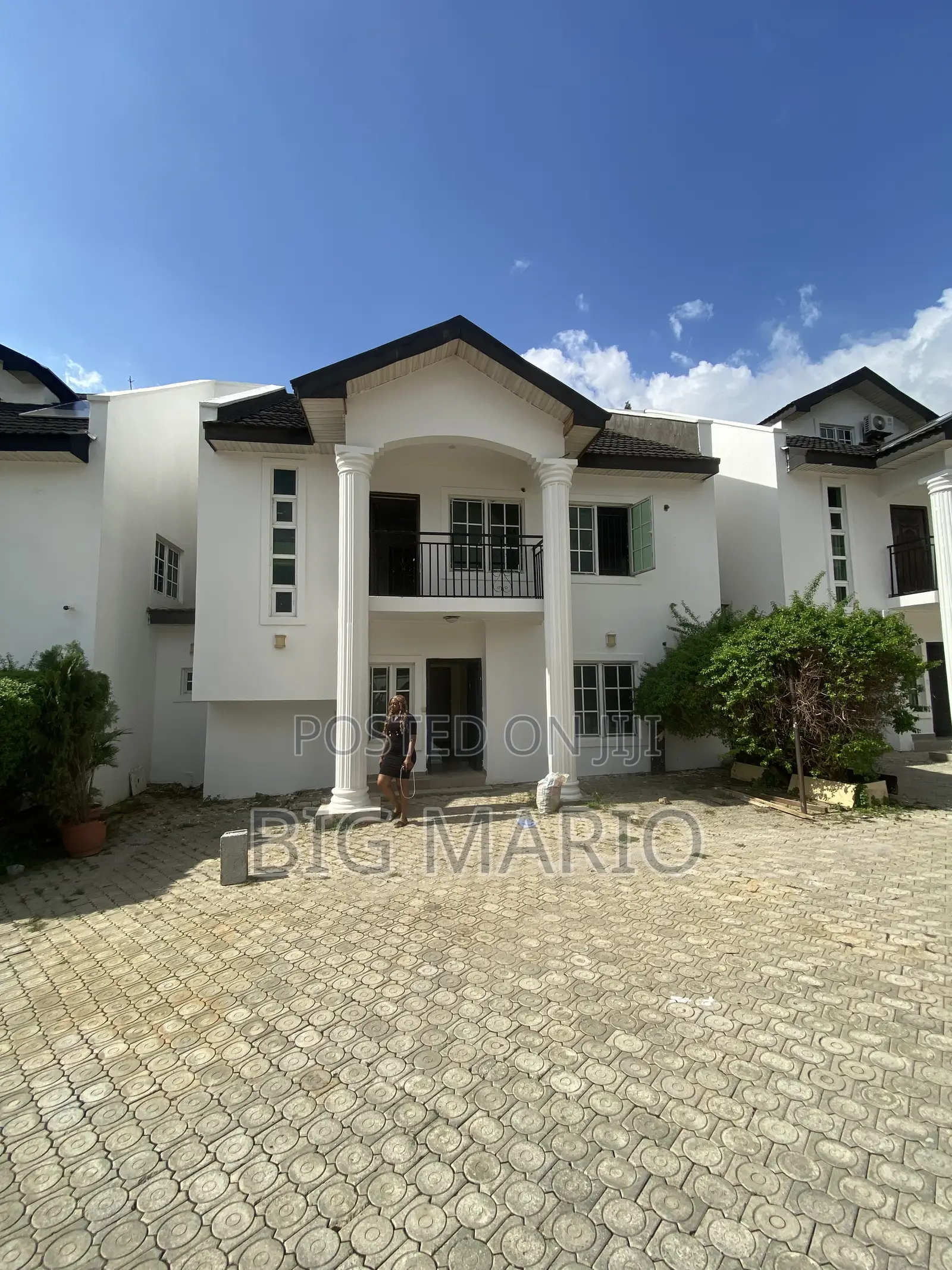 4bdrm Duplex in Asokoro for rent in Asokoro