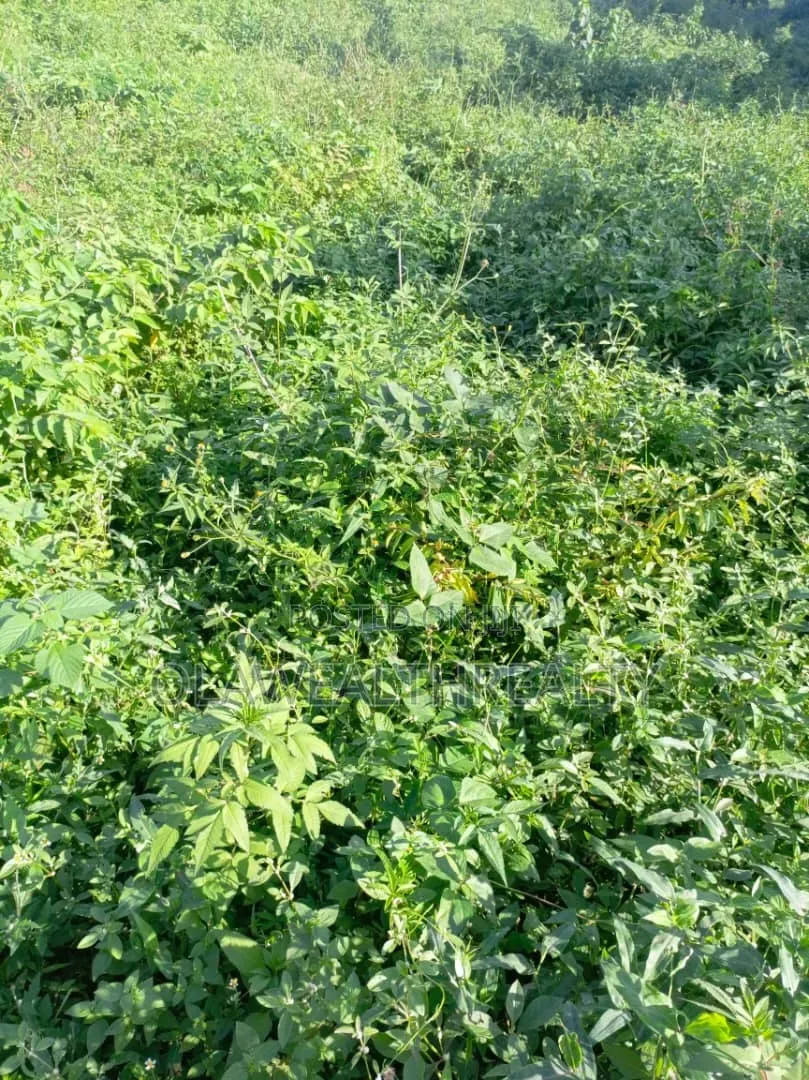 9,270sqm Commercial Land at Wuye in Wuye