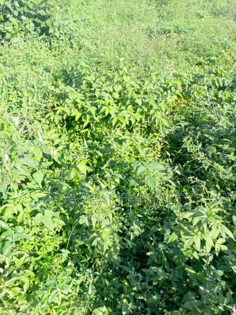 9,270sqm Commercial Land at Wuye in Wuye