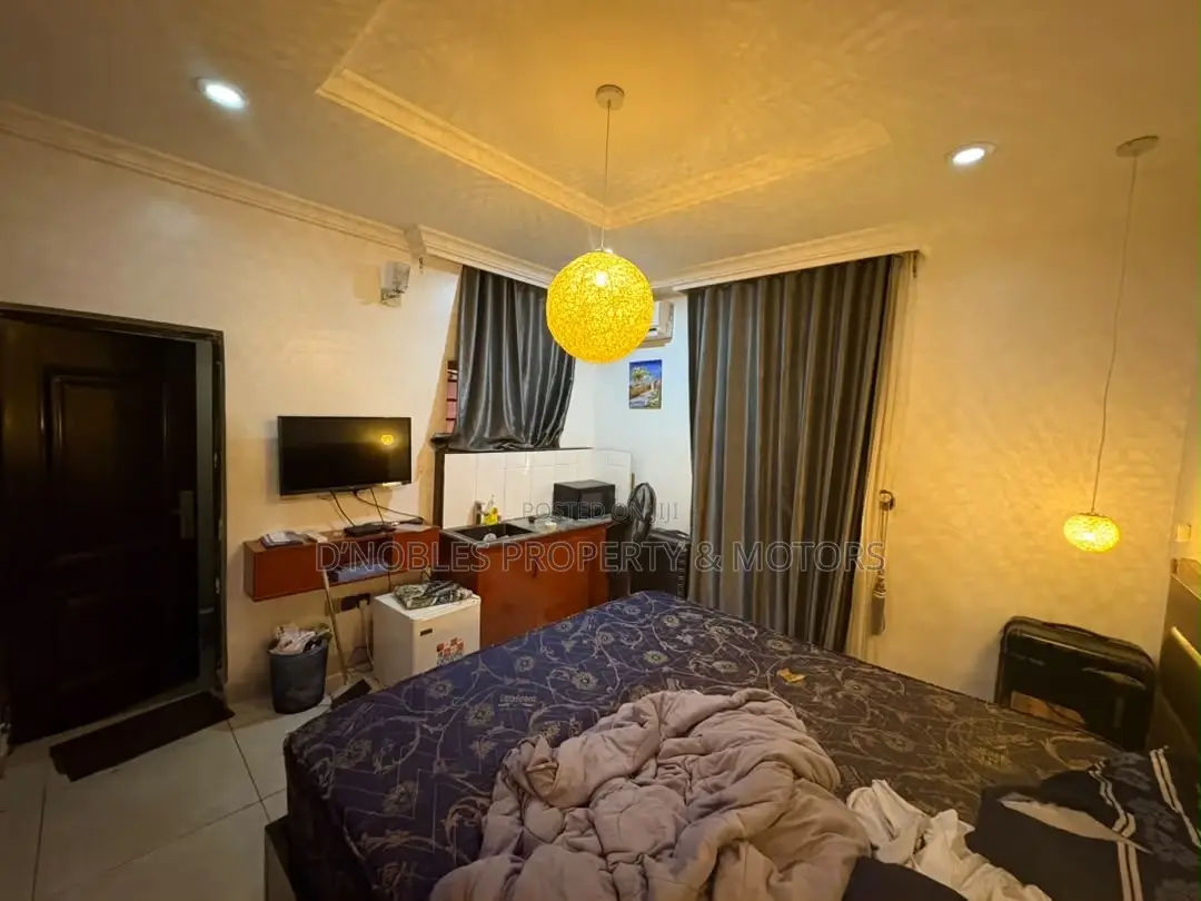 Furnished Studio Apartment in Jabi for rent in Jabi