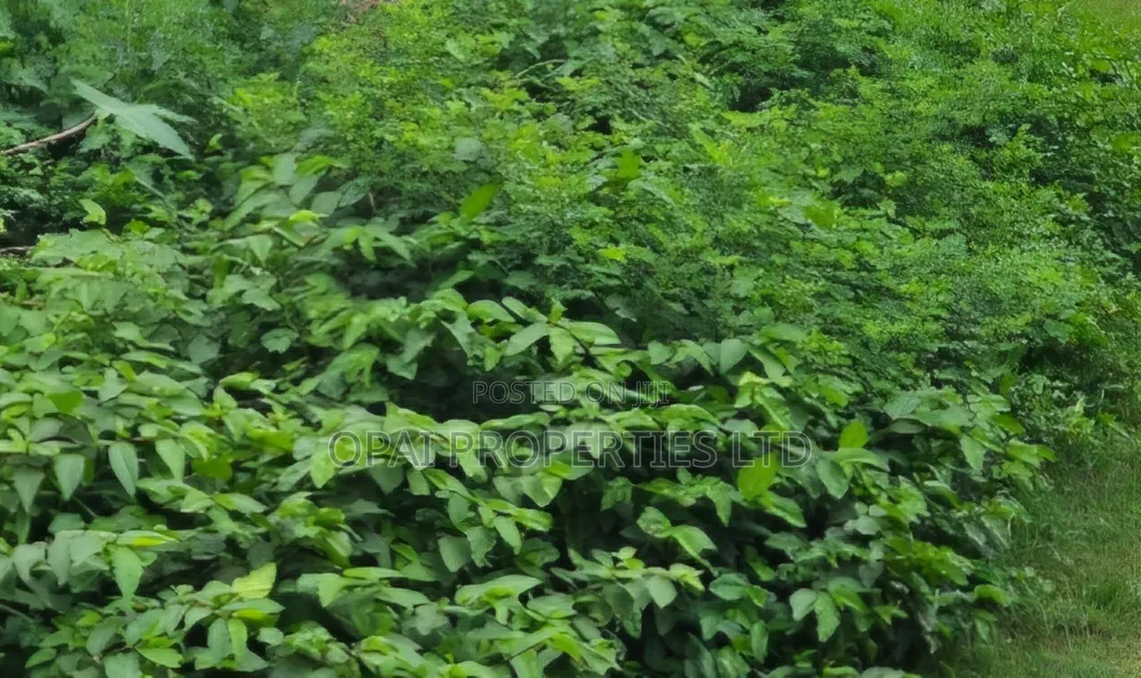 Land for Sale in Gwarinpa