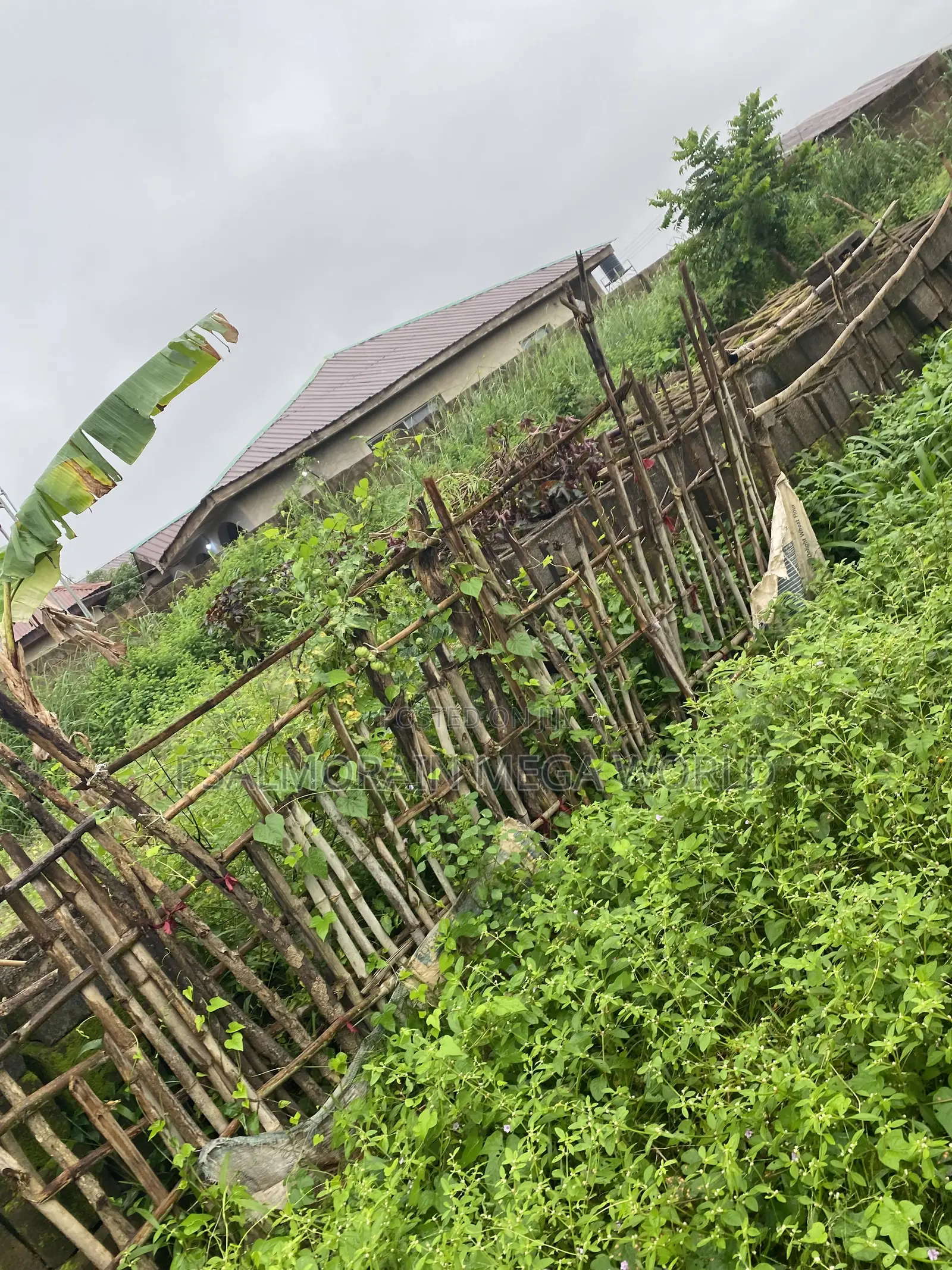 Half Plot of Land for Sale in Akala Express