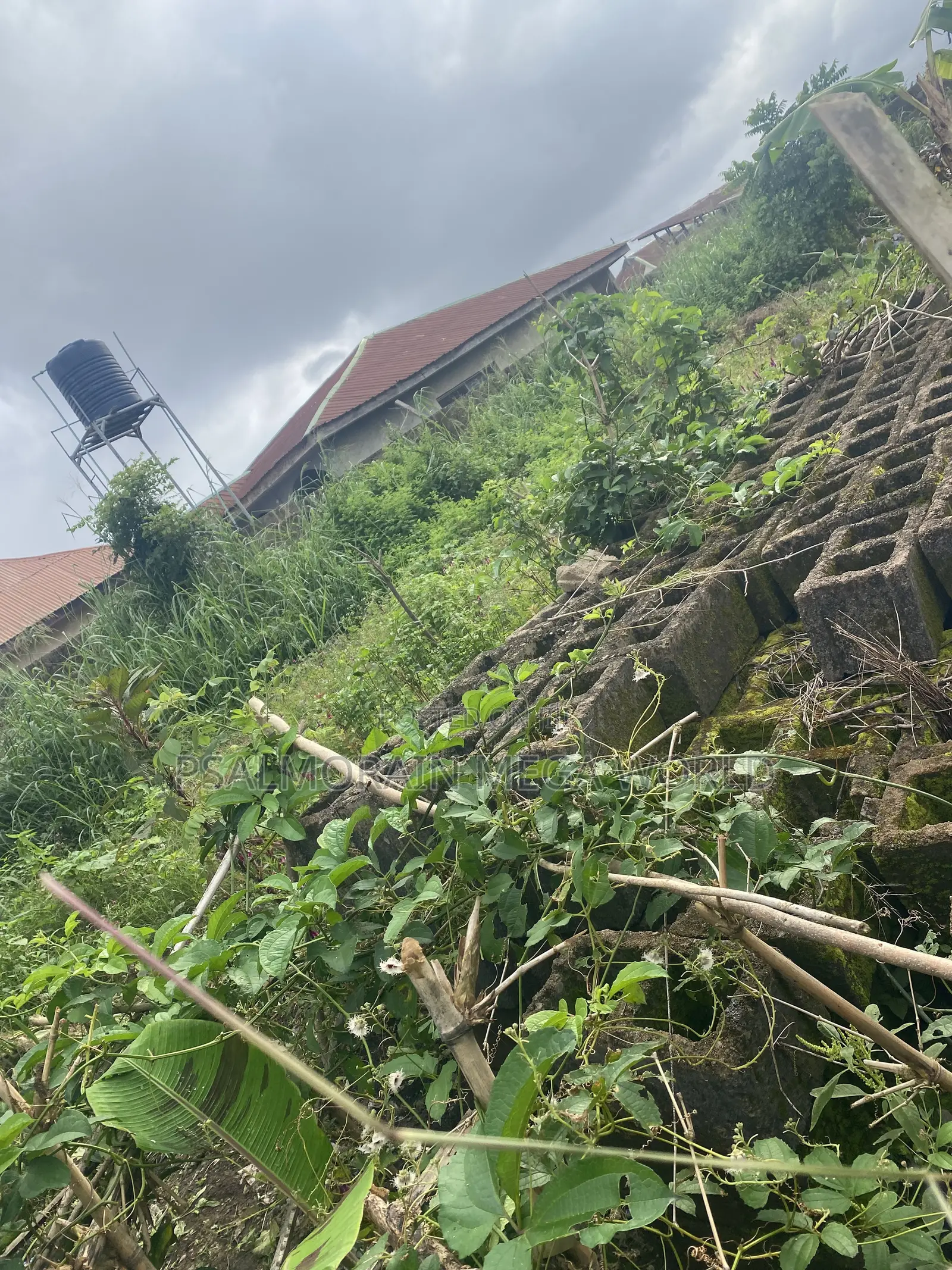 Half Plot of Land for Sale in Akala Express
