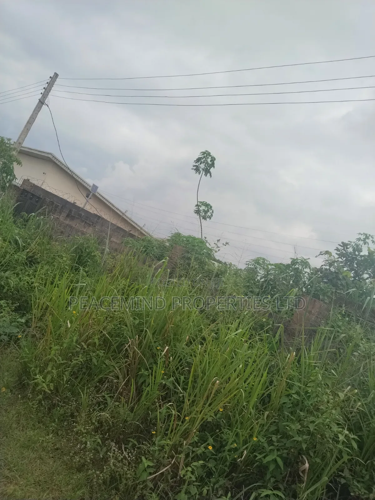 For Sale Full Plot Fenced Round and Gated in Emerald City Shimawa in Ifo
