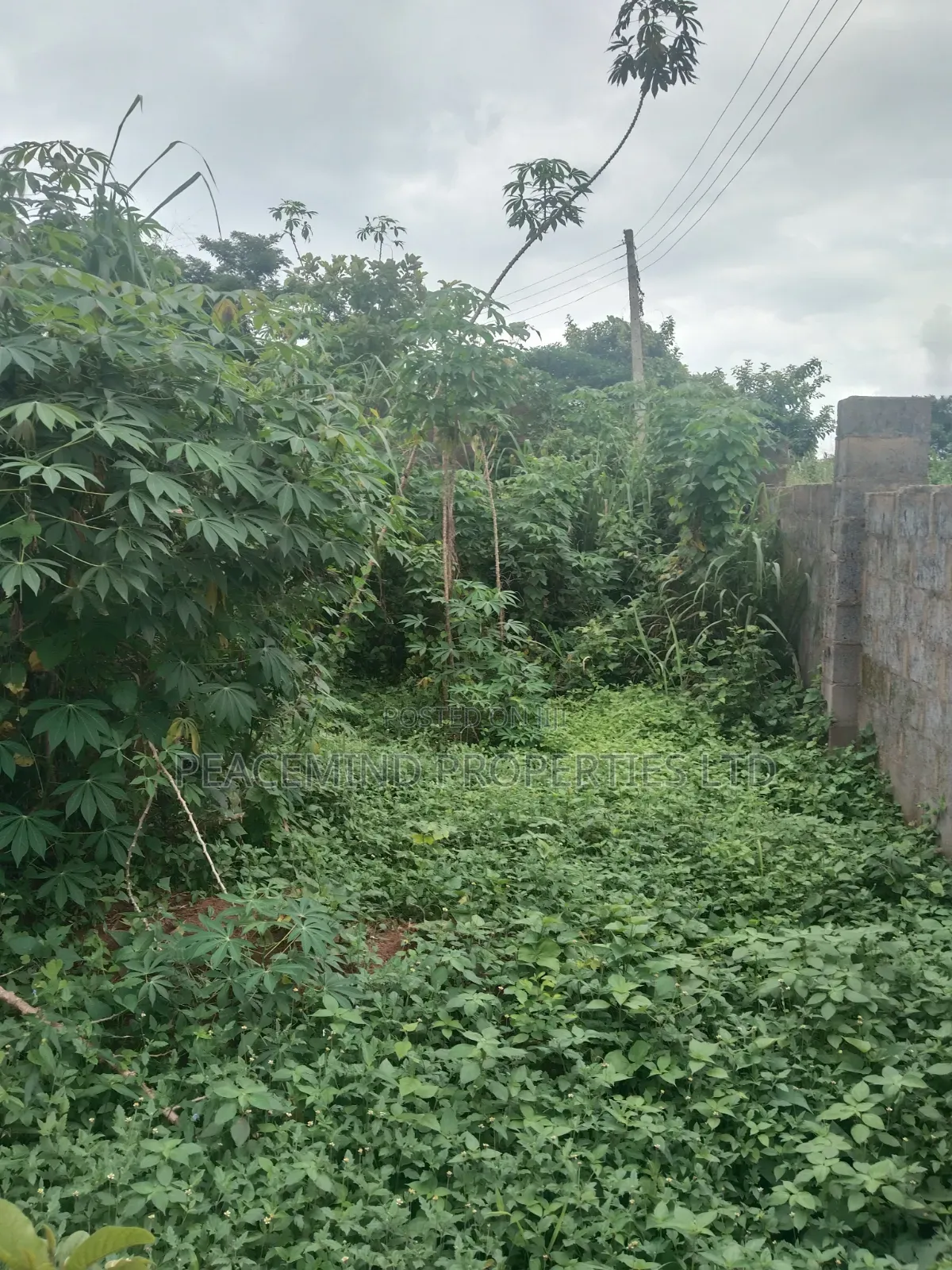 For Sale Full Plot Fenced Round and Gated in Emerald City Shimawa in Ifo