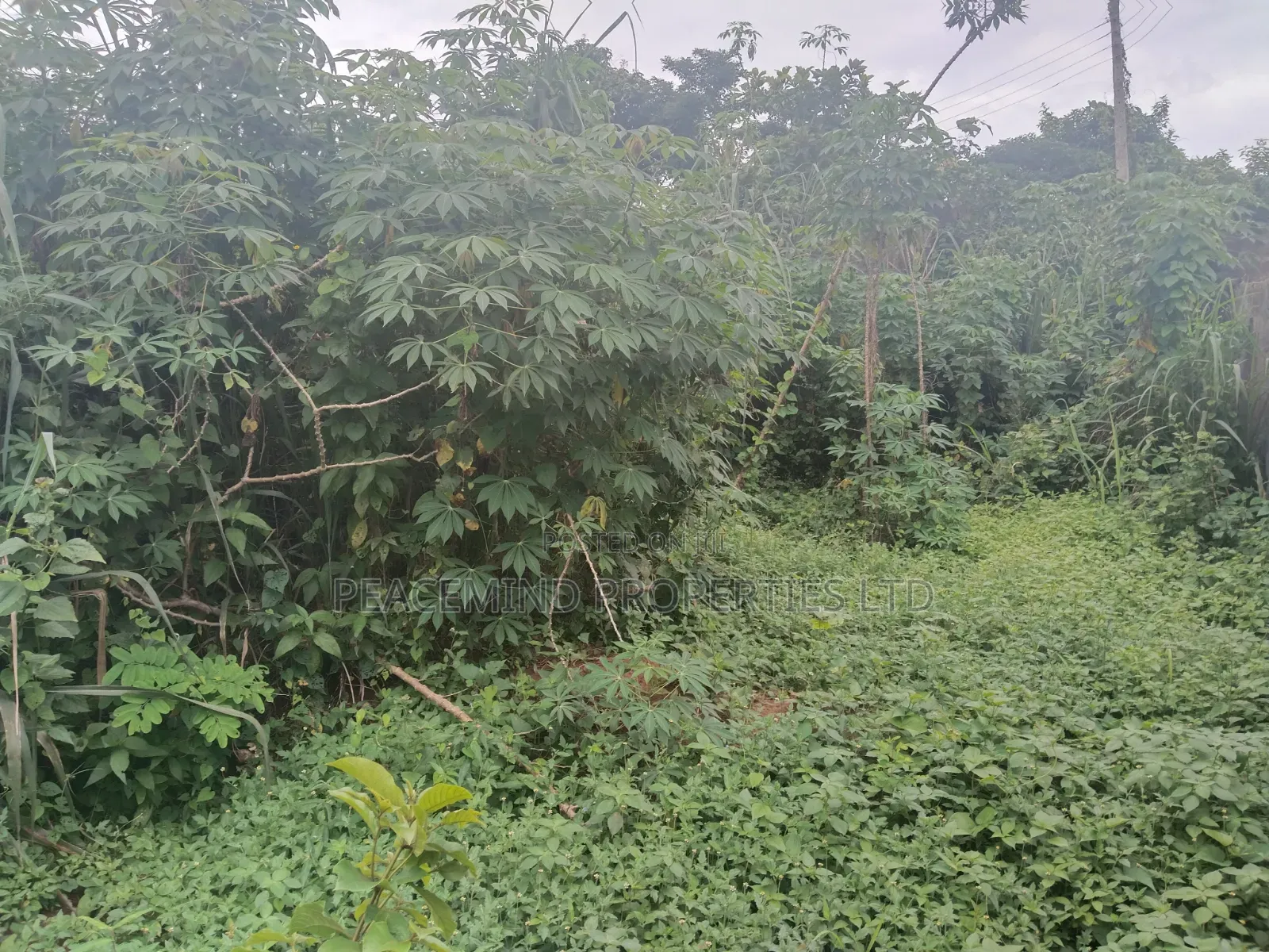 For Sale Full Plot Fenced Round and Gated in Emerald City Shimawa in Ifo
