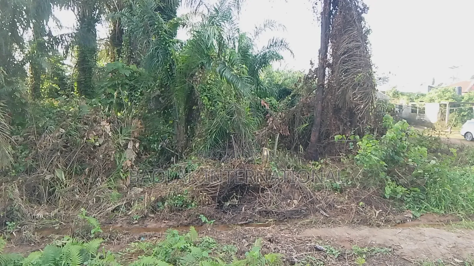 Attention Estate Developers Investors: 3 Plots Land Deals in Ikorodu in Ikorodu