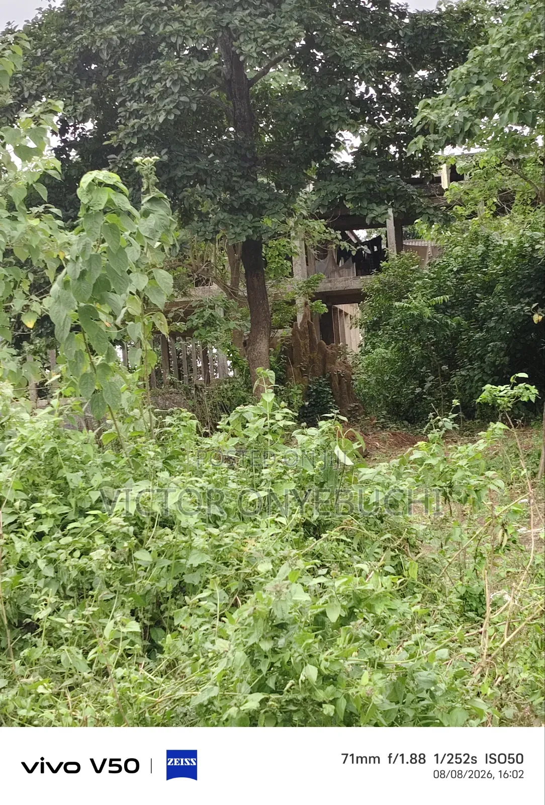 Certificate of Occupancy in Bucknor
