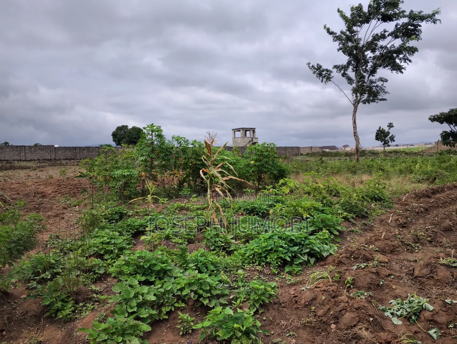 Residential Plot in Karshi