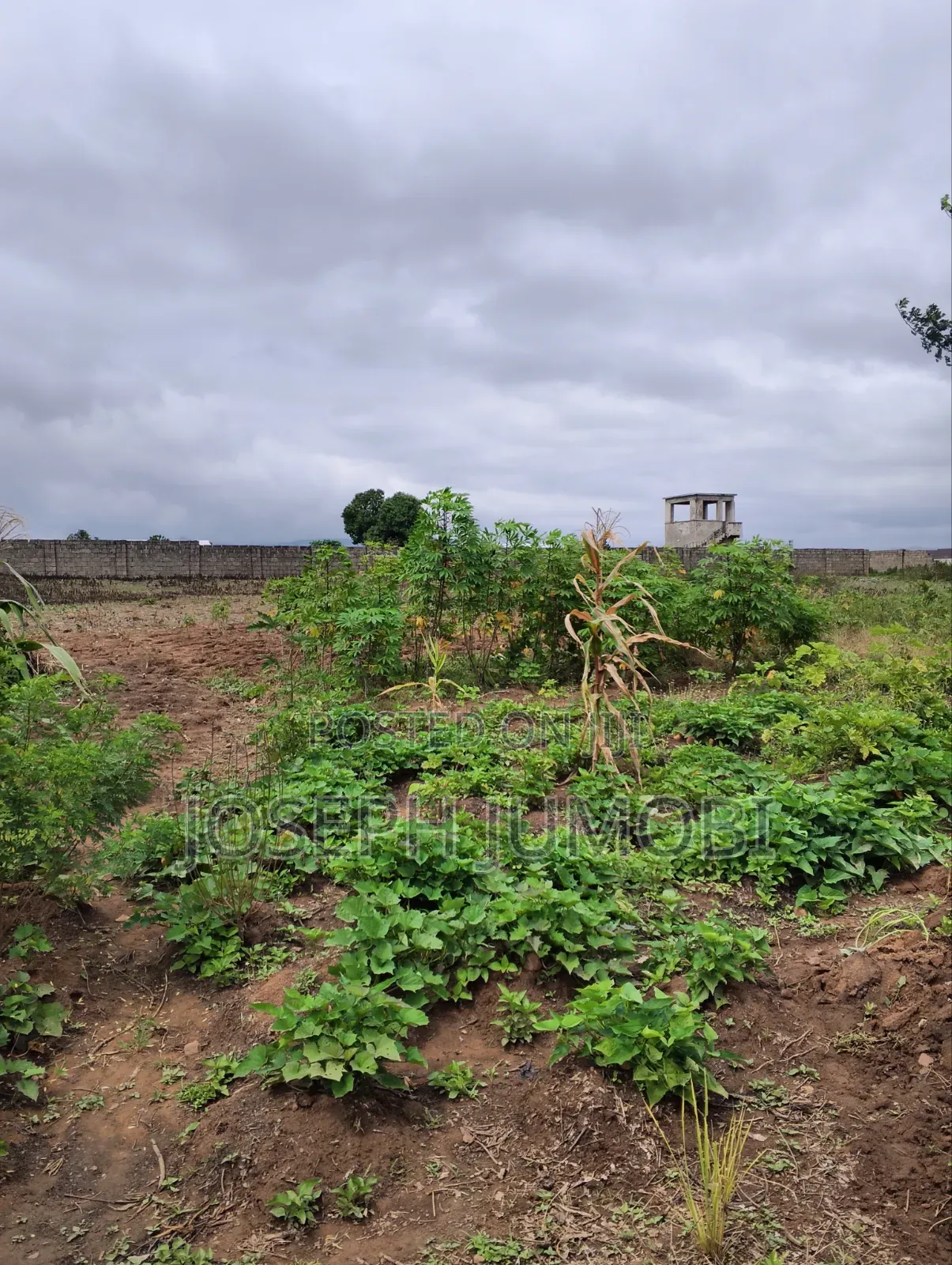 Residential Plot in Karshi