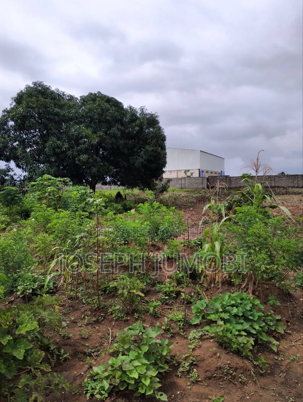 Residential Plot in Karshi