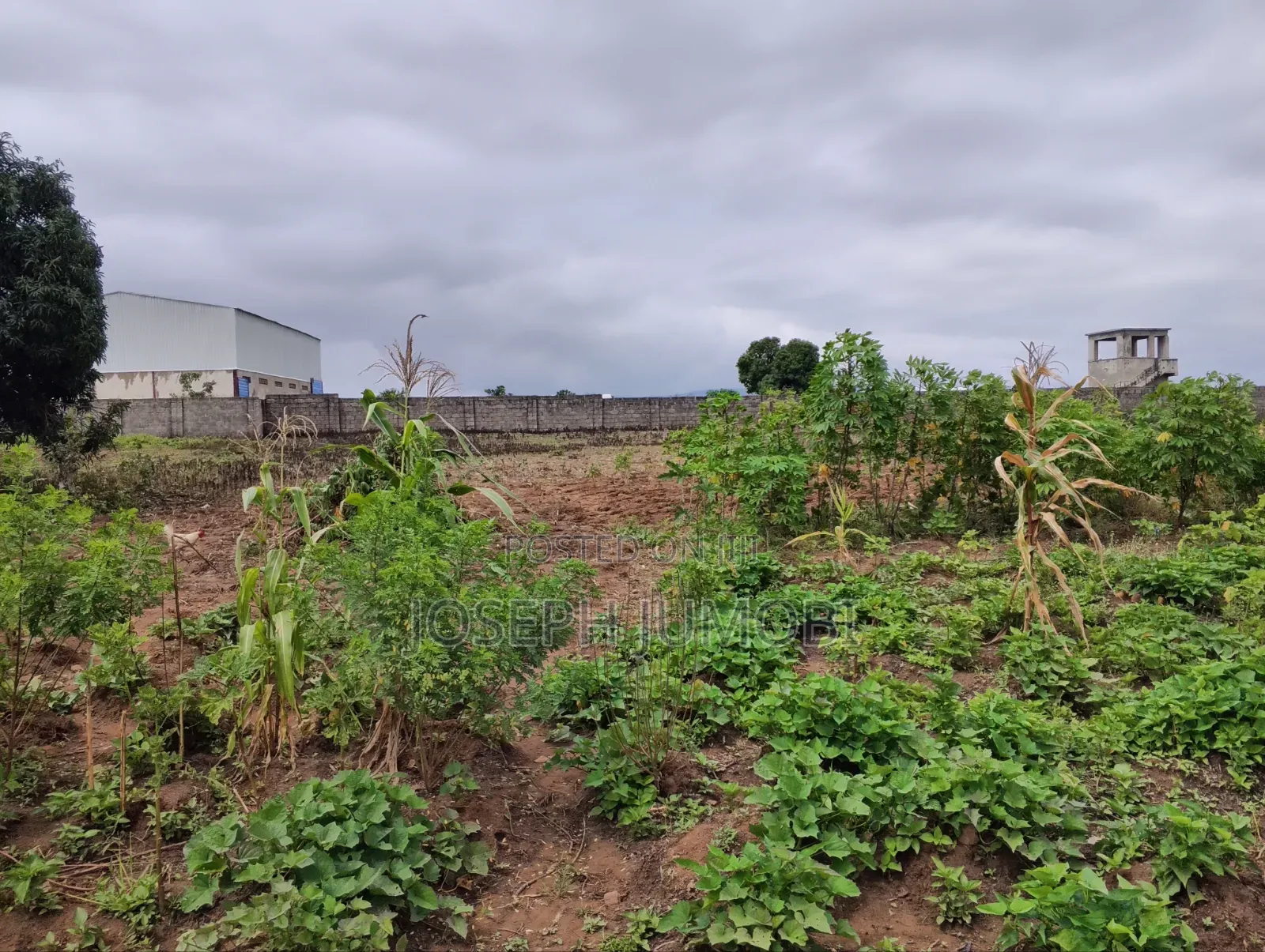 Residential Plot in Karshi