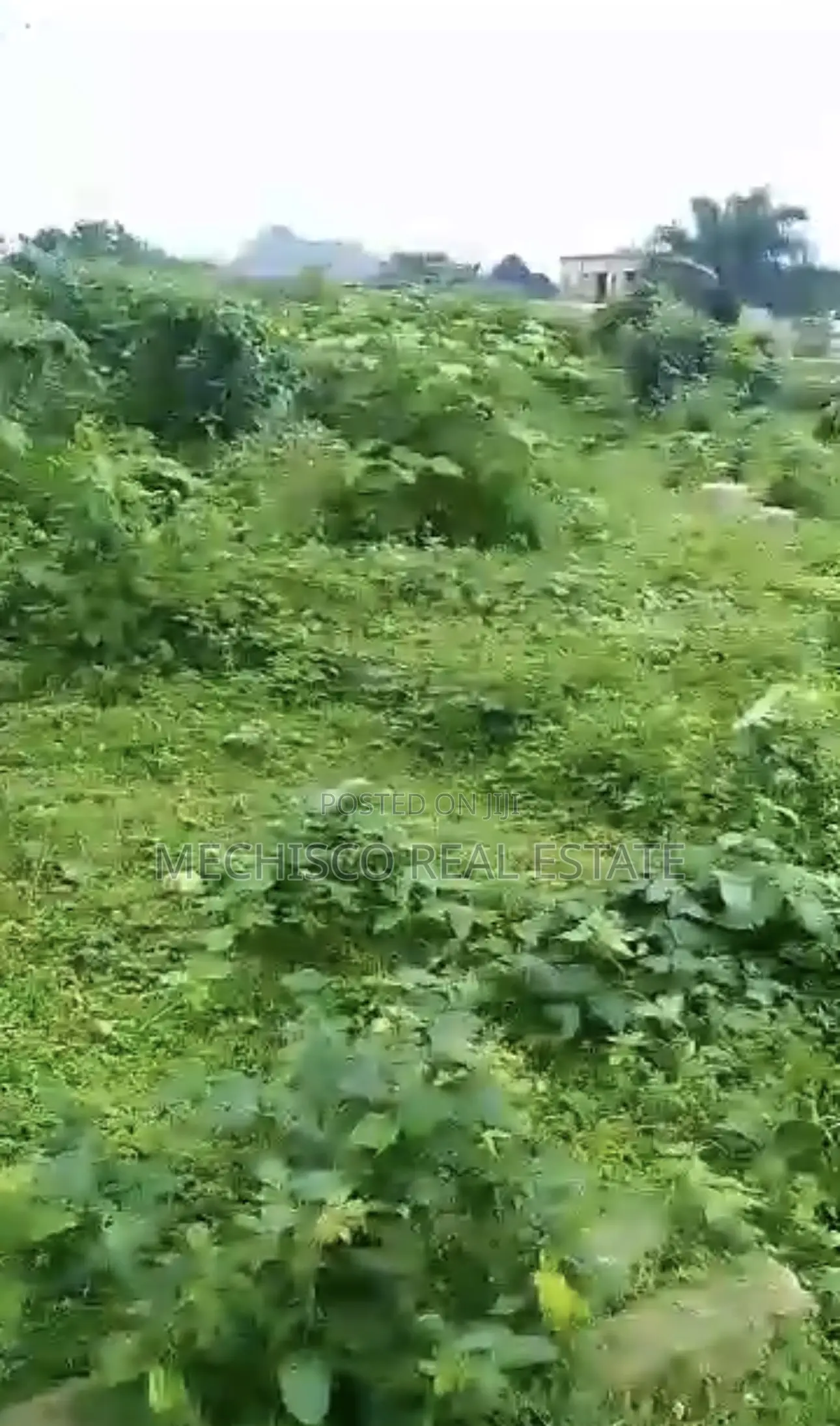 3plots of Land for Sale at Odani Green City Estate Akpajo in Elelenwo