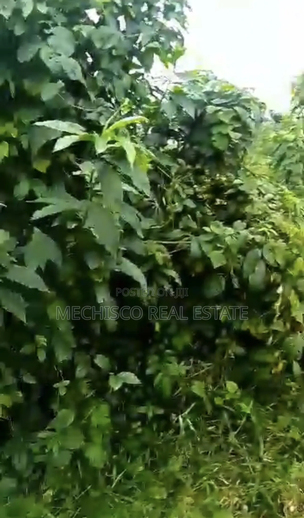 3plots of Land for Sale at Odani Green City Estate Akpajo in Elelenwo
