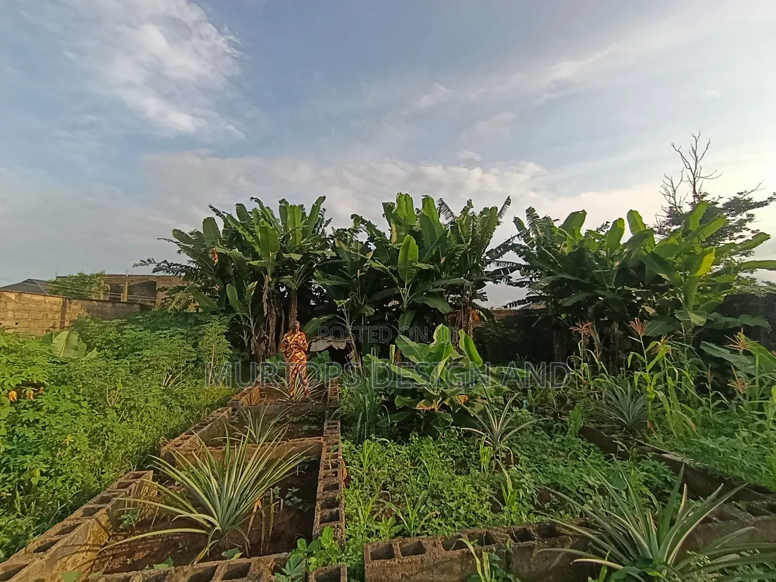 A Table Dry Land Fenced Gated in a Serene Environment We Good Title in Ita Oluwo