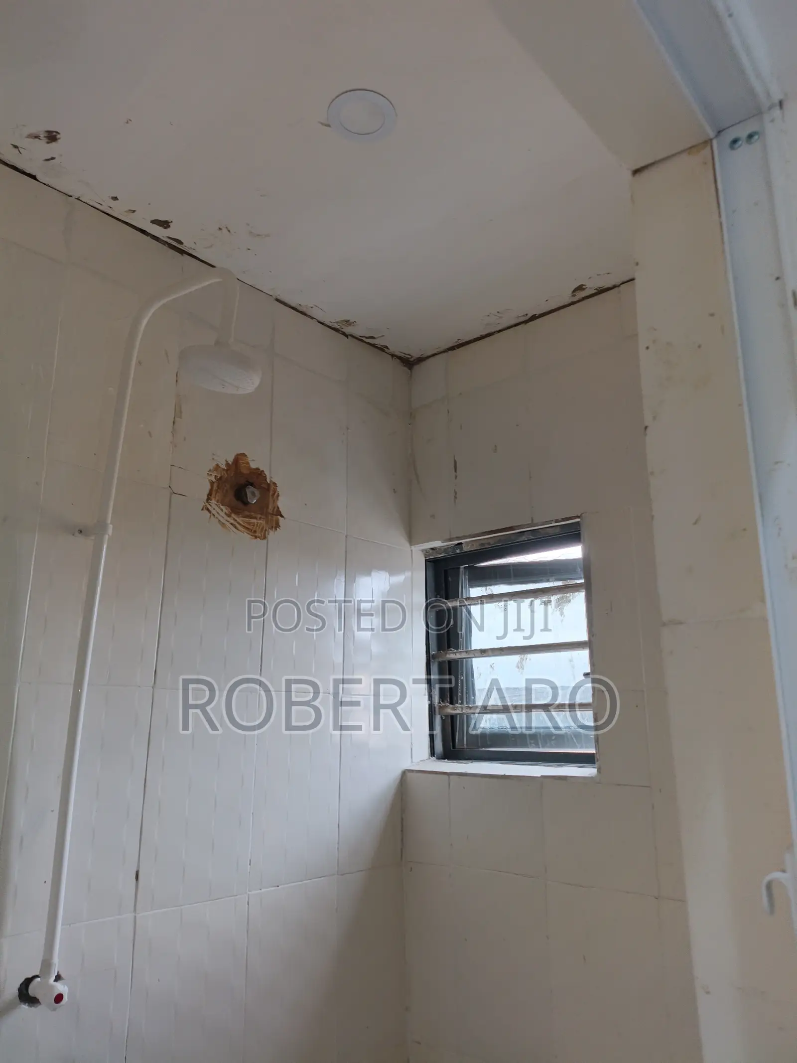 Mini Flat in Shomolu / Shomolu for rent in Shomolu / Shomolu