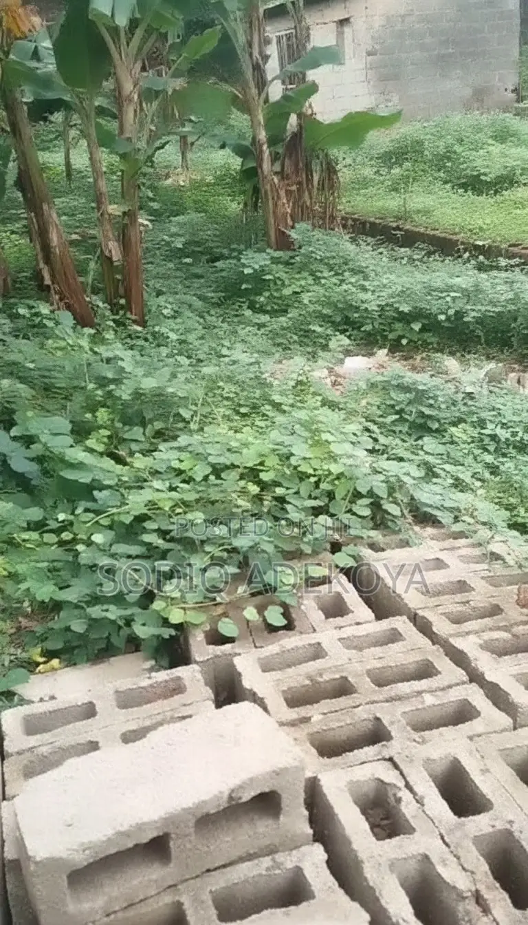 1 Plot of Land for Sale in Isawo, Ikorodu — ₦23m in Isawo