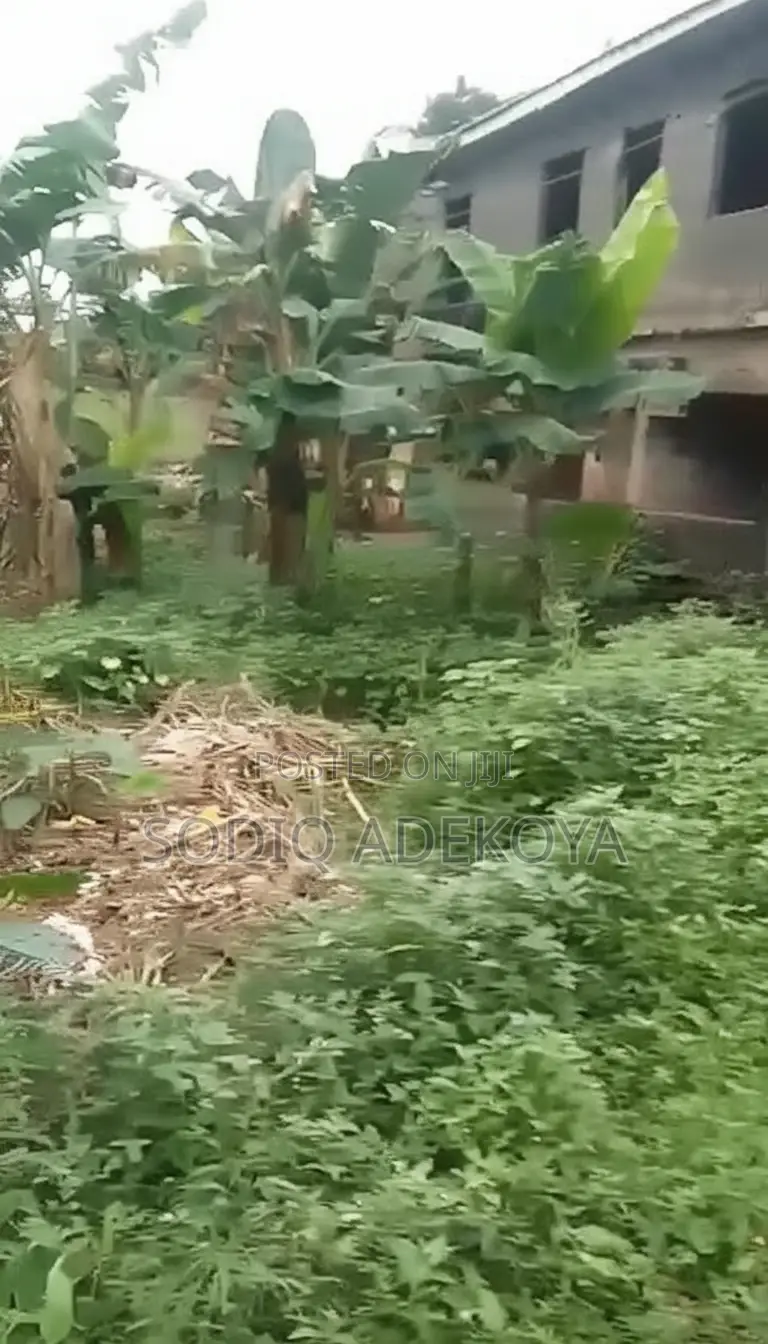 1 Plot of Land for Sale in Isawo, Ikorodu — ₦23m in Isawo